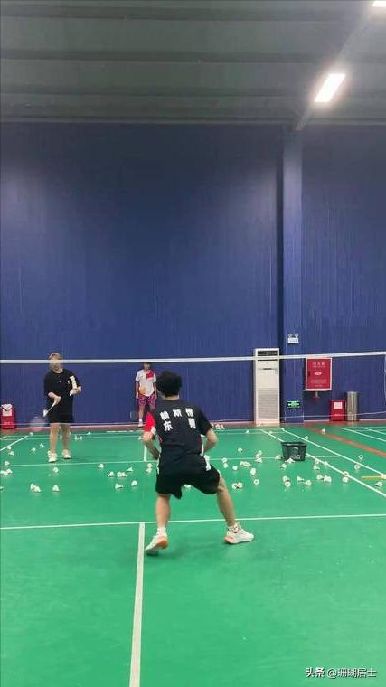 羽毛球入門與提高_(dá)羽毛球裝備選擇指南_羽毛球快速入門技巧